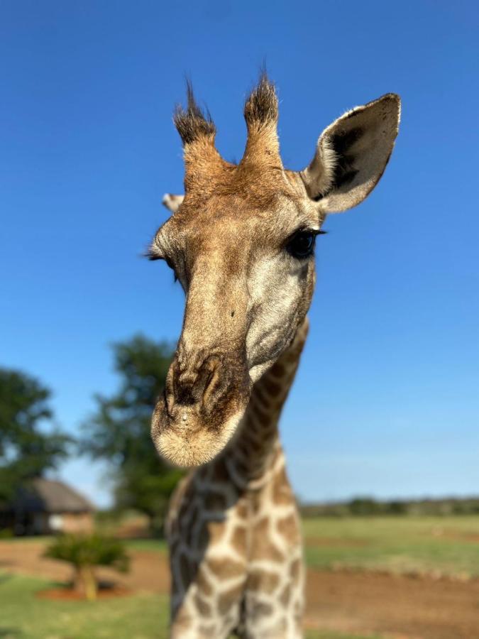 Morakane Safari Lodge Vryburg ภายนอก รูปภาพ